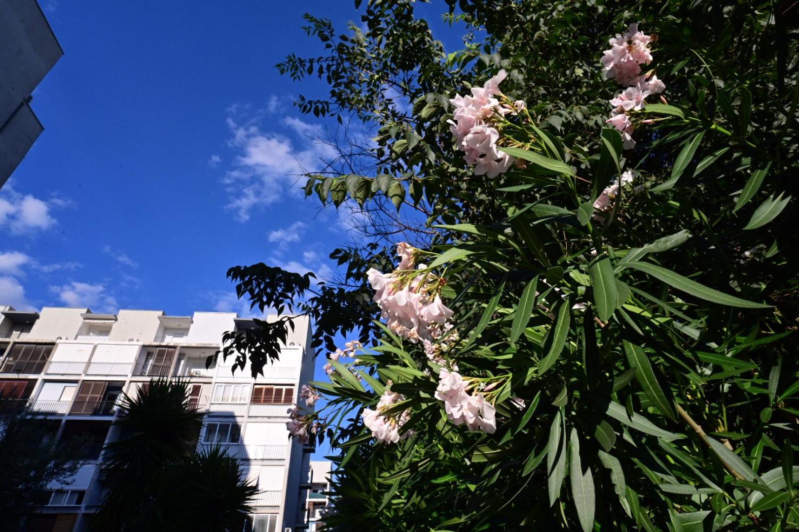 Apartment Paula Spalato Esterno foto